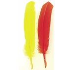 12 Plumes d'Indien 20 cm - 25 gr - assorties