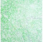 PAPERTREE 50*70 110g MARBRE OXYGEN Lagon