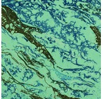PAPERTREE 50*70 110g MARBRE OXYGEN Marine
