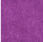 PAPERTREE 50*70 LOKTA PAPER Violet