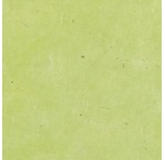 PAPERTREE 50*70 LOKTA PAPER Wasabi