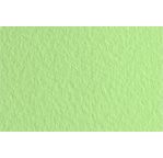 FABRIANO TIZIANO -Feuille 50x65 cm -160 gsm -vert pâle 11