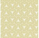 PAPERTREE 50*70 100g ALIENOR WASABI/ BLANC