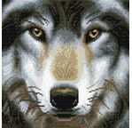 CRYSTAL ART Kit tableau broderie diamant 30x30cm Loup