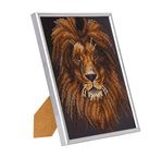 CRYSTAL ART Kit broderie diamant avec cadre argenté 21x25cm Lion
