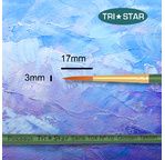 Tristar, Synthetic fibre brush - round N°10 - short green handle