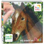 PIXEL Kit créatif tableau 12x12cm - Tête de cheval