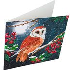 Crystal Art Card Kit 18x18cm Barn Owl