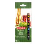 DERWENT - ACADEMY - Boîte 12 pastels a l'huile