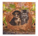 CRYSTAL ART Kit tableau broderie diamant 30x30cm Chat & chien panier