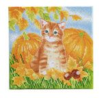 CRYSTAL ART Kit tableau broderie diamant 30x30cm Chat et citrouilles