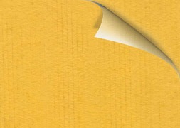 Yellow Orange