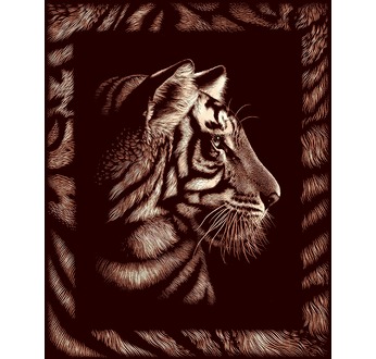 Scraper Or avec frise - TIGRE
