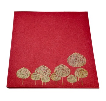 PAPERTREE  ARANIA Pochette  (A4) Rouge