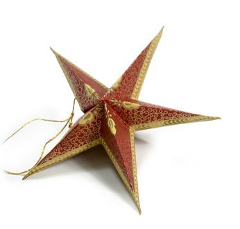 Papertree STAR Set of 5 - Burgundy/Black