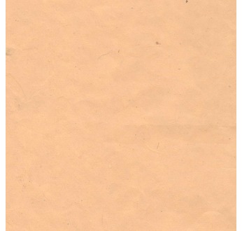 PAPERTREE DS 60g PAPIER BANANE UNI Pêche