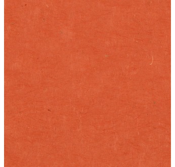 PAPERTREE 50*70 LOKTA PAPER Paprika