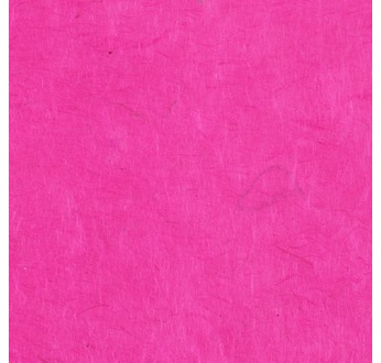 PAPERTREE 50*70 LOKTA PAPER Fuschia