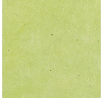 PAPERTREE 50*70 LOKTA PAPER Wasabi