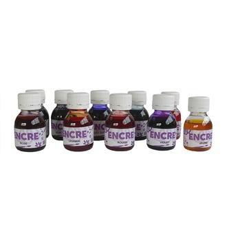 Lot de 10 flacons d'encre 60 ml assortis