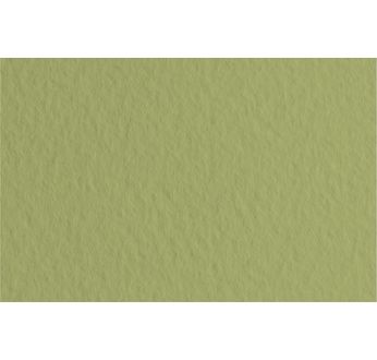 FABRIANO TIZIANO -Feuille 70x100 cm -160 gsm -vert mousse 14