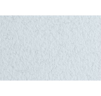 FABRIANO TIZIANO -Feuille 70x100 cm -160 gsm -gris marine 15