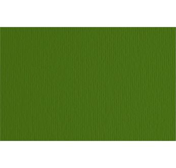 FABRIANO CARTACREA (L/R) -Feuille 50x70 cm -220 gsm -vert pré