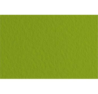 FABRIANO TIZIANO -Feuille 70x100 cm -160 gsm -vert pistache 43