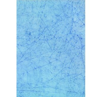 PAPERTREE 56*76 100g PAPIER BATIK CV08 Poisson