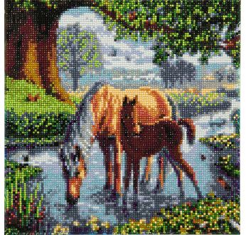 CRYSTAL ART Kit tableau broderie diamant 30x30cm Chevaux