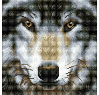 CRYSTAL ART Kit tableau broderie diamant 30x30cm Loup