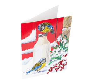 CRYSTAL ART Kit carte broderie diamant 21x29cm Oiseaux sur la neige