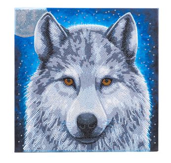 CRYSTAL ART Kit tableau broderie diamant 30x30cm Loup clair de lune
