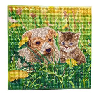 CRYSTAL ART Kit tableau broderie diamant 30x30cm Chat & chien pré