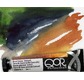 Qor aquarelle extra fine 11 ml - Aquarelle EF QoR 11ml Blanc de titane S1