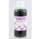 Drawing ink bottle 250 ml - Pastel Green