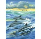 Peinture par n° Enfants- Dauphins