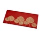 PAPERTREE ARANIA Enveloppe kdo 19x10cm - Rouge/Or