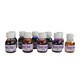 Lot de 10 flacons d'encre 60 ml assortis