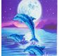 CRYSTAL ART Kit carte broderie diamant 18x18cm Dauphins