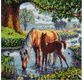 CRYSTAL ART Kit tableau broderie diamant 30x30cm Chevaux