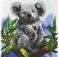 CRYSTAL ART Kit tableau broderie diamant 30x30cm Koalas