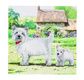 CRYSTAL ART Kit carte broderie diamant 18x18cm Westie