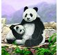 CRYSTAL ART Kit carte broderie diamant 18x18cm Pandas