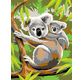 Peinture par N° débutant - Koalas