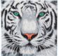 CRYSTAL ART Kit tableau broderie diamant 30x30cm Tigre des neiges