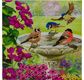 CRYSTAL ART Kit carte broderie diamant 18x18cm Baignade oiseaux