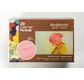 PANPASTEL pastels en godet