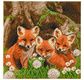 Crystal Art Kit 30x30cm Fox Cubs 30x30cm