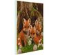 Crystal Art Kit 30x30cm Fox Cubs 30x30cm